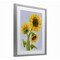 Stupell Industries Sunflower Trio Against Blue Framed Print Under Glass, design by Patti Bishop